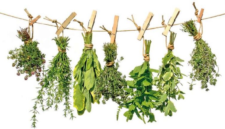 Herbas medicinais con propiedades antiparasitarias